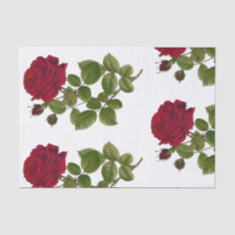 Seda Lenço de papel 10" do jardim de rosas vermelhas