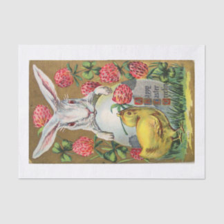 Seda lenço de papel 10lb, branco com COELHINHO DA