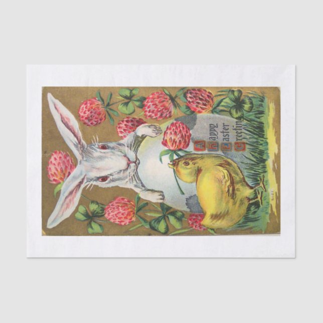 Seda lenço de papel 10lb, branco com COELHINHO DA (Frente )