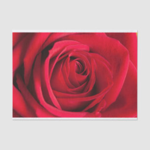 Seda Lenço de papel bonito da flor da rosa vermelha