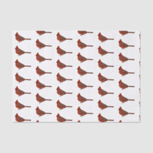 Seda Lenço de papel cardinal geométrico