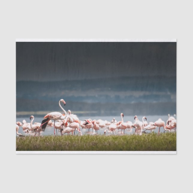 Seda Lenço de papel com imagem dos flamingos (Frente )