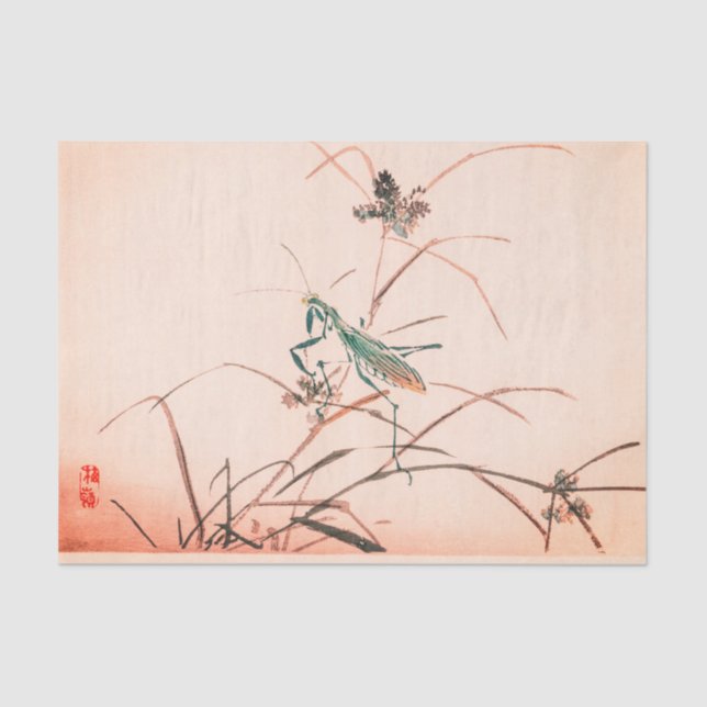 Seda Lenço de papel COR-DE-ROSA JAPONÊS da LOUVA-A-DEUS (Frente )