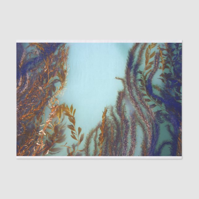 Seda Lenço de papel da alga (Frente )