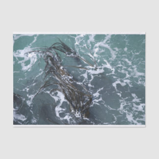 Seda Lenço de papel da alga