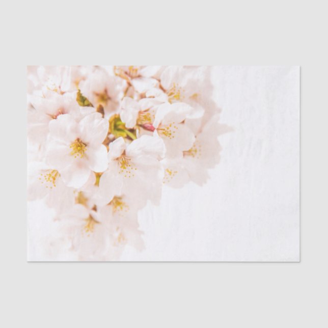 Seda Lenço de papel da flor de cerejeira (Frente )