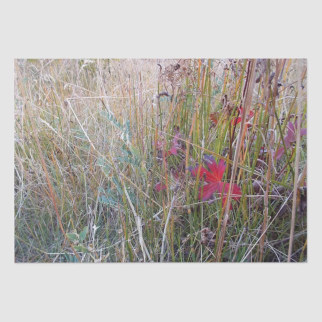 Seda Lenço de papel da folha da queda (Frente )