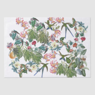Seda Lenço de papel das flores dos pássaros do colibr