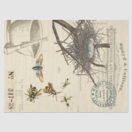 Seda Lenço de papel de Decoupage do Apothecary da