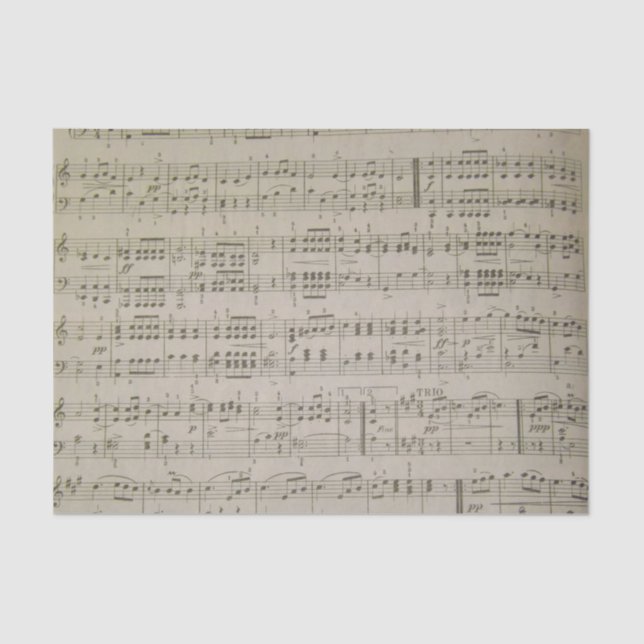 Seda Lenço de papel de Menuetto (Frente )