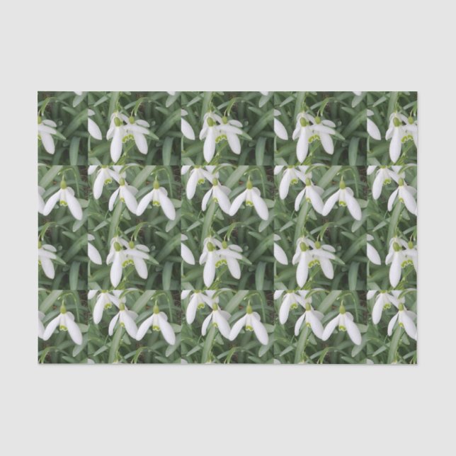 Seda Lenço de papel de Snowdrops (Frente )