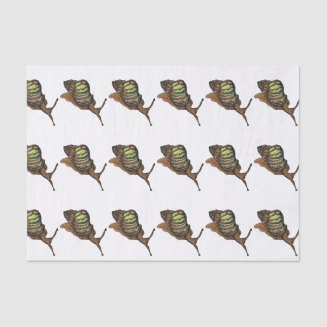 Seda lenço de papel do caracol (Frente )