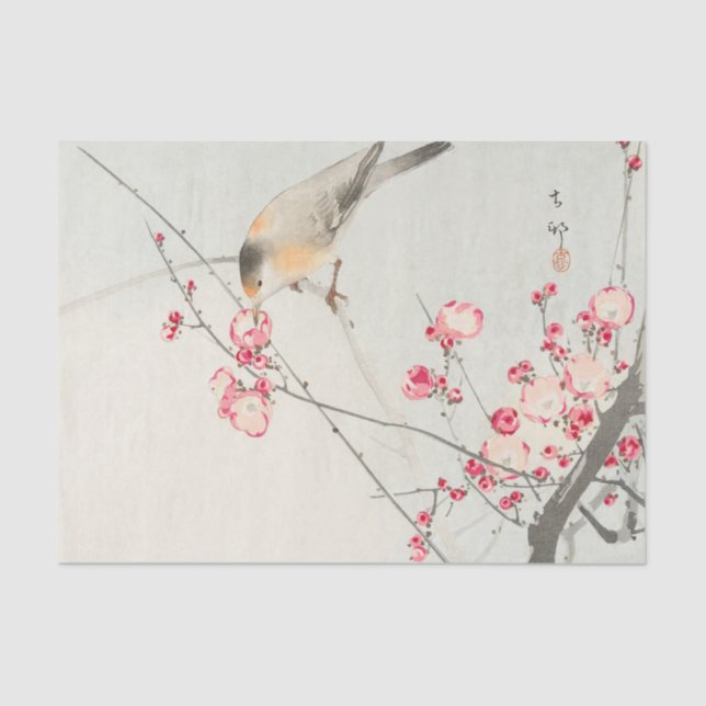 Seda Lenço de papel do pássaro (Frente )