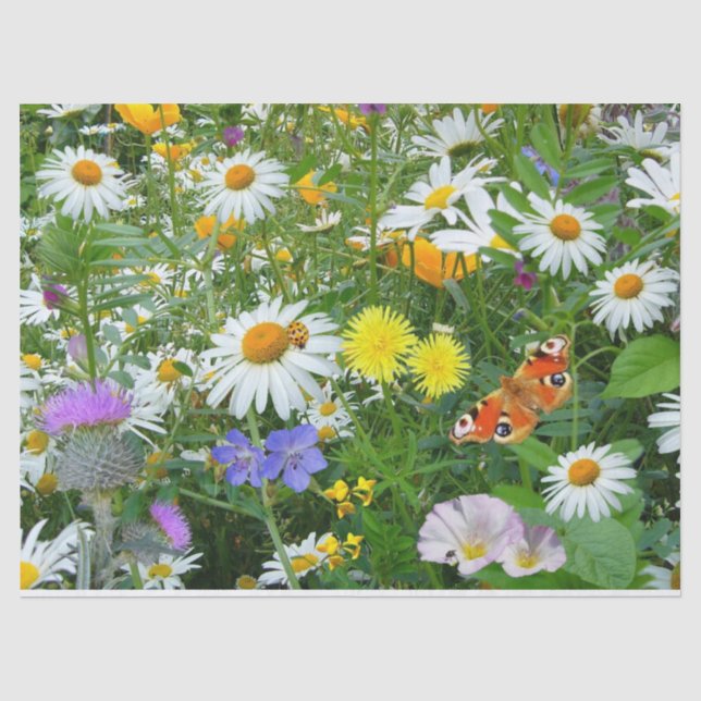 Seda Lenço de papel dos Wildflowers (Frente )