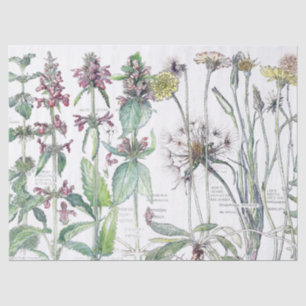 Seda Lenço de papel dos Wildflowers da flor da orelha