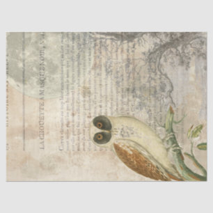 Seda Lenço de papel enluarada de Decoupage da coruja