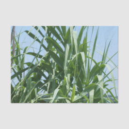 Seda Lenço de papel feito sob encomenda