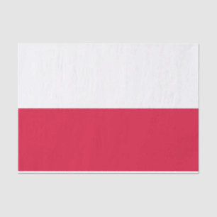 Seda Lenço de papel patriótico com a bandeira do