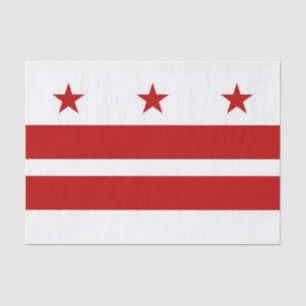 Seda Lenço de papel patriótico com Washington DC da