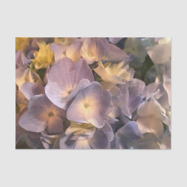 Seda Lenço de papel roxo da flor (Frente )