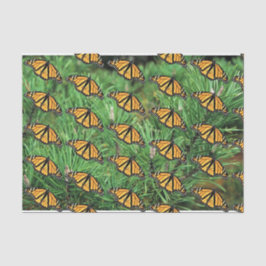 Seda Monarcas de Papel Tecidual em Pine Boughs