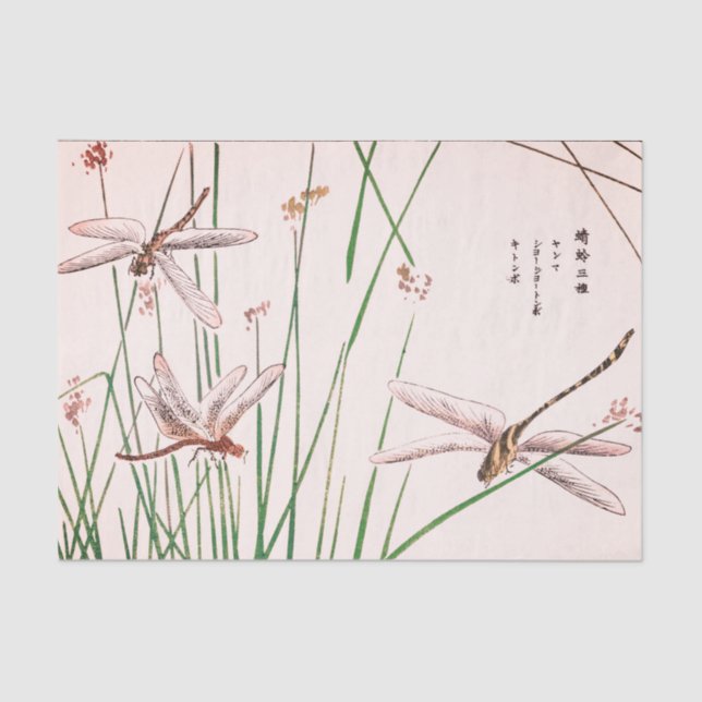 Seda MOSCA do DRAGÃO COM lenço de papel da GRAMA (Frente )