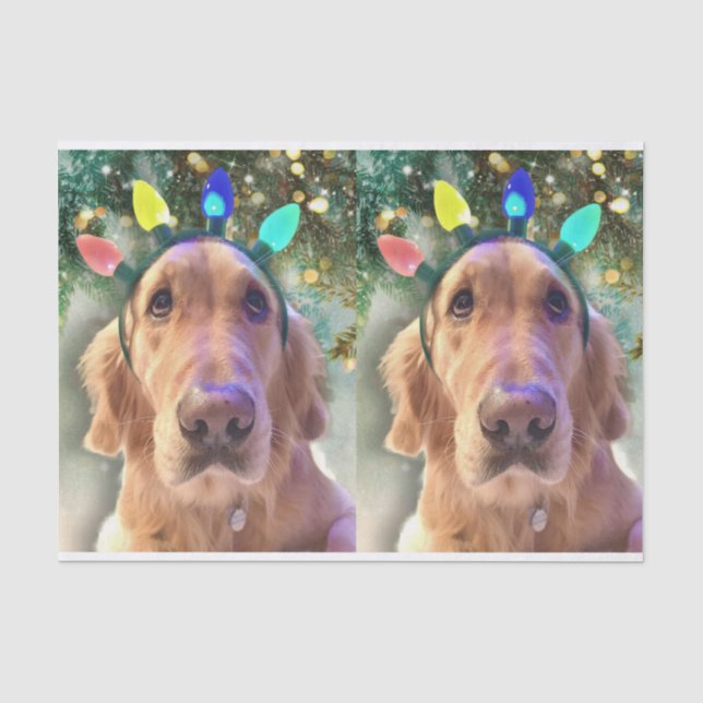 Seda Nova o Ouro Retriever de Papel Tecido de Natal (Frente )