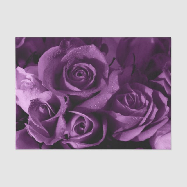 Seda O embaçamento roxo aumentou - o lenço de papel (Frente )