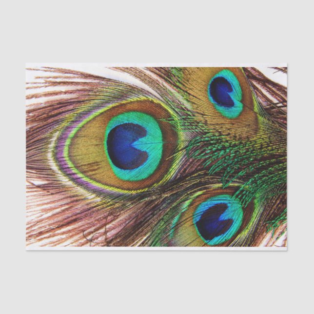 Seda O pavão empluma-se o lenço de papel 4 (Frente )