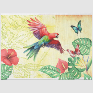 Seda Papagaio-da-selva e Papel Tecido de Decoupage da B
