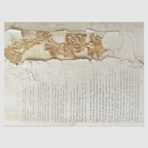 Seda Papel antigo com bordas rasgadas parede rachada de