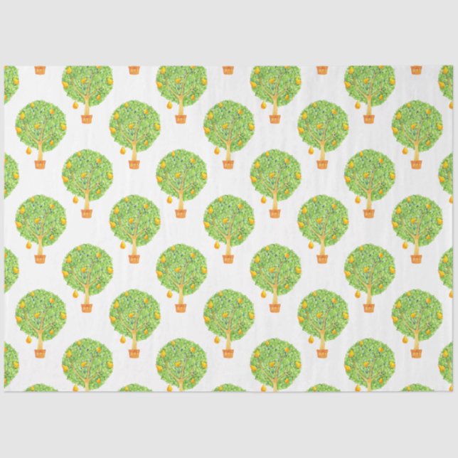 Seda Papel de 18 lb em árvore, 20 x 30" (Frente )