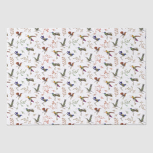Seda Papel de Aperfeiçoamento da Qualidade das Aves