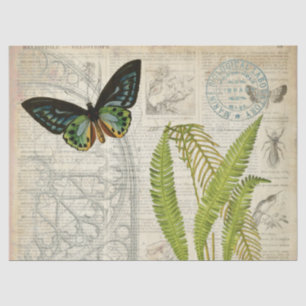 Seda Papel de Decoupage das coisas efêmeras da