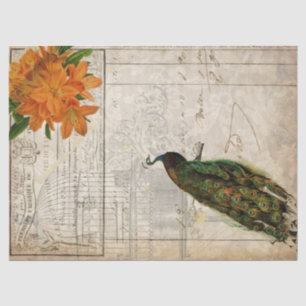 Seda Papel de Decoupage das coisas efêmeras do pavão