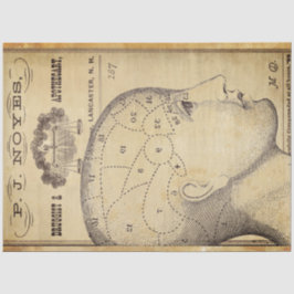 Seda Papel de Decoupage de Mobiliário Apothário