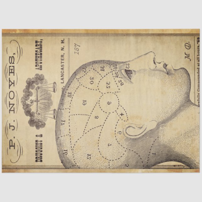 Seda Papel de Decoupage de Mobiliário Apothário (Frente )