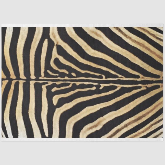 Seda Papel de Decoupage de Mobiliário Zebra (Frente )