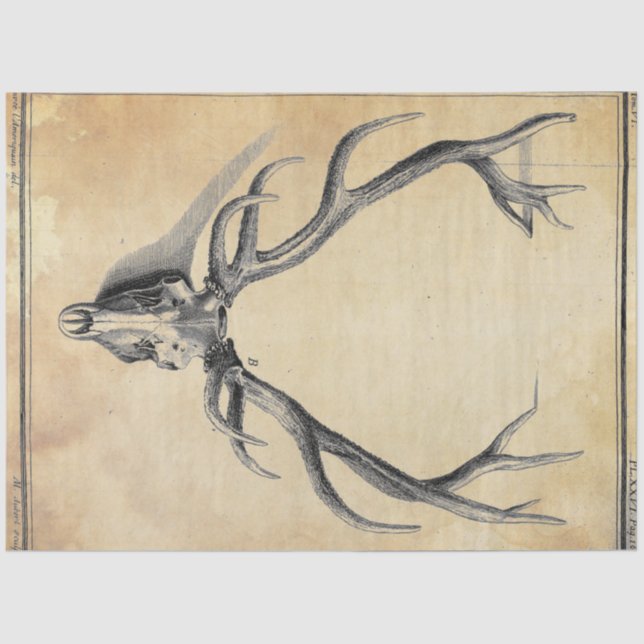 Seda Papel de Decoupage do Antler (Frente )