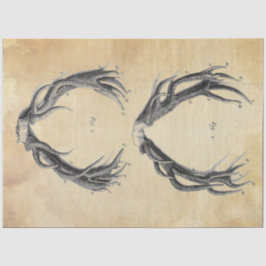 Seda Papel de Decoupage do Antler