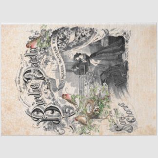 Seda Papel de Decoupage do Querido Birdie