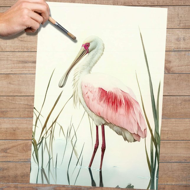 Seda Papel de Decoupage do Spoonbill 2 (Criador carregado)