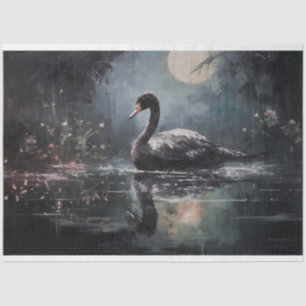 Seda Papel de dissociação Black Swan 4