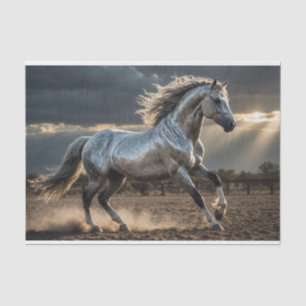 Seda Papel de Dissociação de Cavalos Selvagens de Tempe