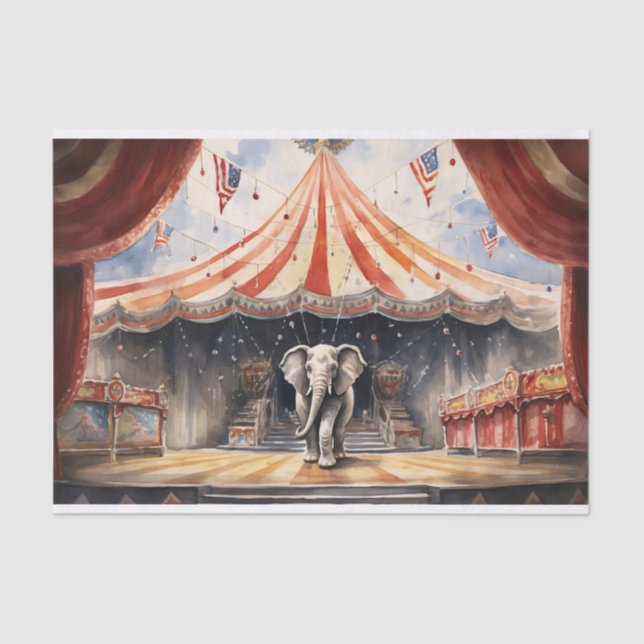 Seda Papel de dissociação do elefante de circo 2 (Frente )