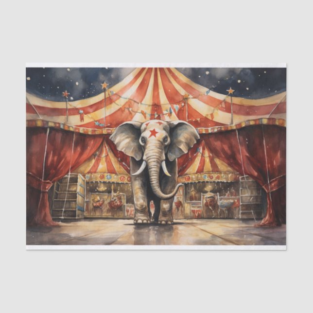Seda Papel de dissociação do elefante de circo 4 (Frente )