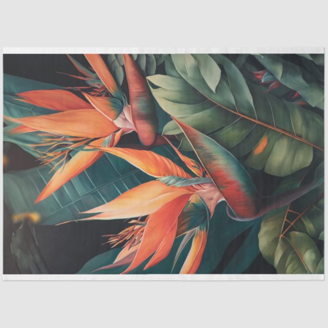 Seda Papel de dissociação, enrolamento, - Distribuidor  (Frente )