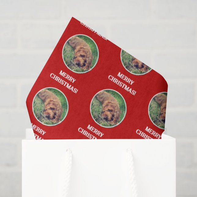 Seda Papel de embrulho vermelho Golden Doodle (Sacola de presentes)