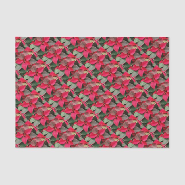 Seda Papel de enrolamento Red Poinsettia (Frente )