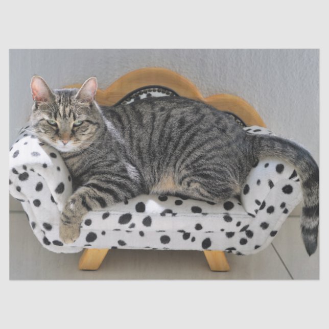 Seda Papel de lenço de gato malhado (Frente )